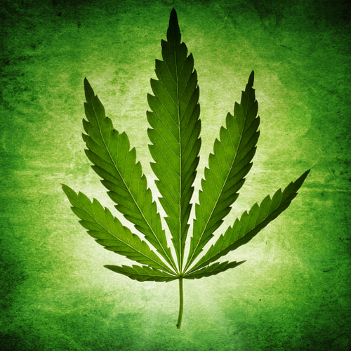 State-by-State guide: cannabis legalization across the USA in 2024