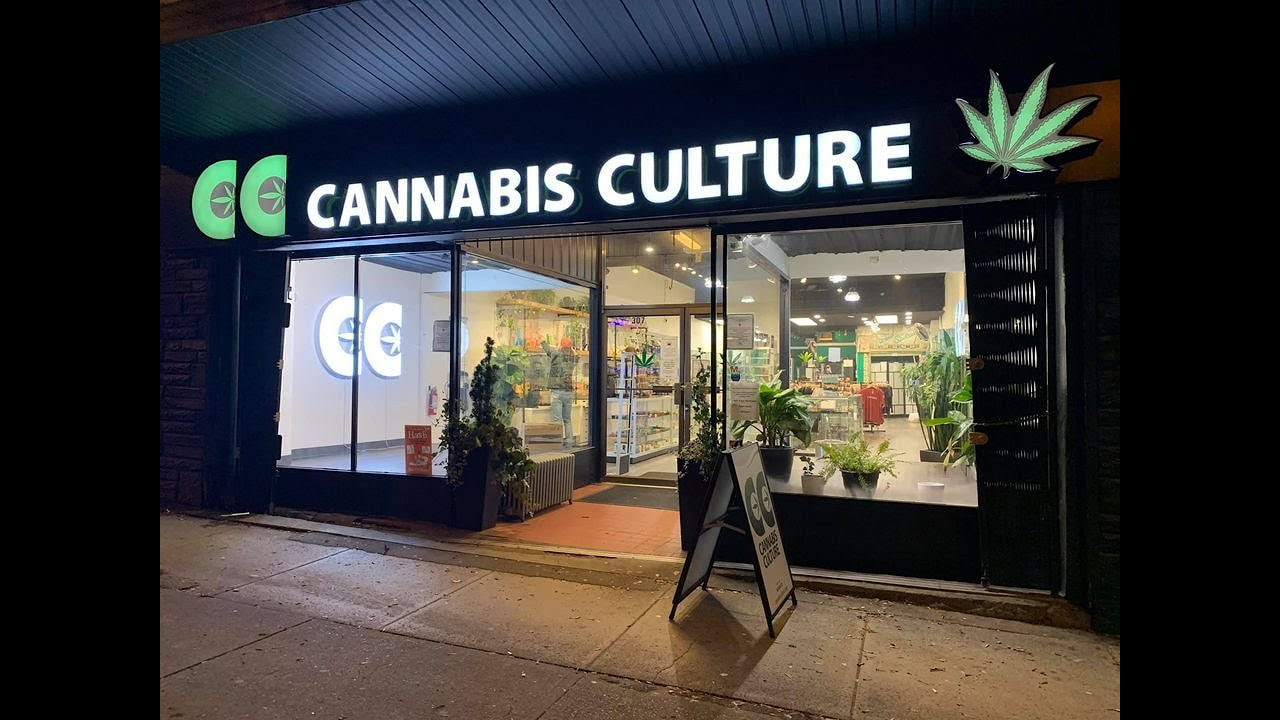 Cannabis laws across Canada: provincial regulations you need to know for 2024